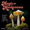 Magic Mushrooms | 2024 12 x 24 Inch Monthly Square Wall Calendar | Brush Dance | Fungus Fungi Microorganism